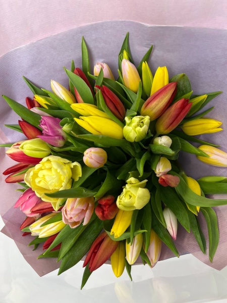 Букет из 50 разноцветных тюльпанов